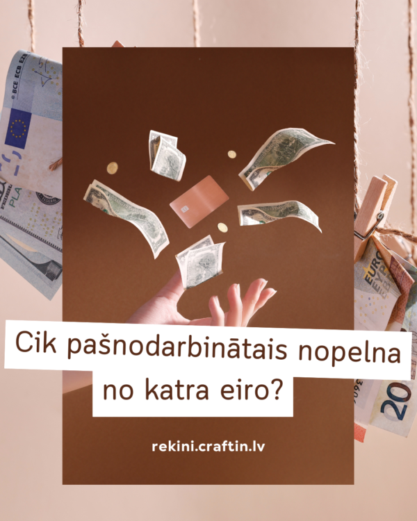 Cik pašnodarbinātais nopelna no katra eiro?